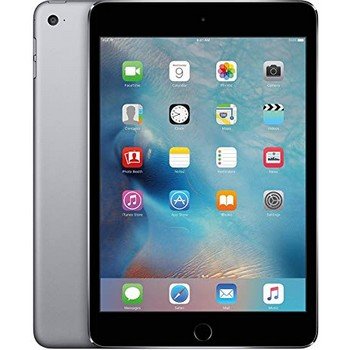 iPad mini 2