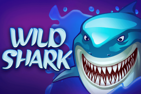 logo wild shark amatic 1 