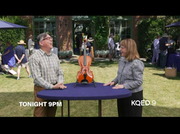 PBS News Hour : KQED : August 19, 2024 3:00pm-4:01pm PDT