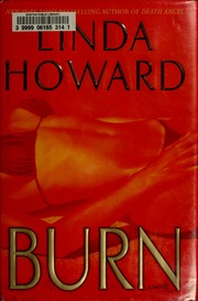 Cover of edition burnnovel00howa