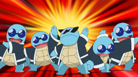 Squirtle Squad