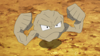 Brock's Geodude