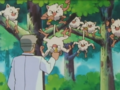 Primeape's size