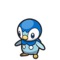 Piplup