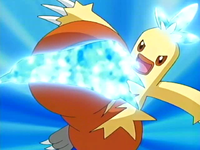 May Combusken Mega Kick.png