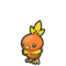 Torchic