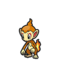 Chimchar