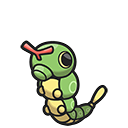 Caterpie