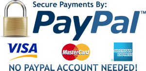 Paypal Secure payment online