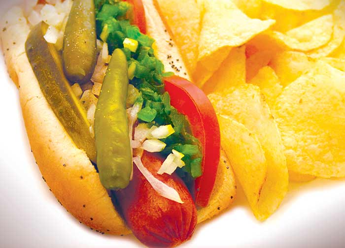 Loaded hot dog and chips from Chicago Dogs