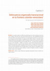 Research paper thumbnail of Capítulo 3. Delincuencia organizada transnacional en la frontera colombovenezolana