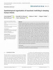 Research paper thumbnail of Spatiotemporal organization of myoclonic twitching in sleeping human infants