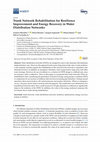 Research paper thumbnail of Trunk Network Rehabilitation for Resilience Improvement and Energy Recovery in Water Distribution Networks