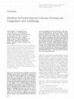 Research paper thumbnail of Cerebral Ischemia-Hypoxia Induces Intravascular Coagulation and Autophagy