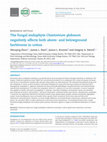 Research paper thumbnail of The fungal endophyteChaetomium globosumnegatively affects both above- and belowground herbivores in cotton