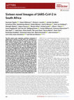 Research paper thumbnail of Sixteen novel lineages of SARS-CoV-2 in South Africa