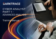 Research paper thumbnail of Darktrace Cyber Analyst Part 1 - Advanced Analysis manual