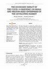 The economic impact of the COVID-19 pandemic on small and medium-sized enterprises in the developing market Cover Page