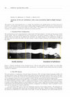 Research paper thumbnail of Analysis of free jet turbulence with cross-correlation light-in-flight holography