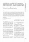 Research paper thumbnail of The Remains of the Medieval Harbour in Puck (Northern Poland): A Few Words About the Results of Previous Research