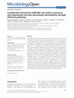 Research paper thumbnail of Lactobacillus fermentum AGR1487 cell surface structures and supernatant increase paracellular permeability through different pathways