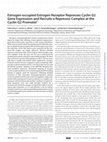 Research paper thumbnail of Estrogen-occupied Estrogen Receptor Represses Cyclin G2 Gene Expression and Recruits a Repressor Complex at the Cyclin G2 Promoter