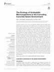 Research paper thumbnail of The Ecology of Acidophilic Microorganisms in the Corroding Concrete Sewer Environment