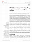 Research paper thumbnail of Molybdenum Enzymes and How They Support Virulence in Pathogenic Bacteria