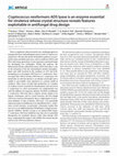 Research paper thumbnail of Cryptococcus neoformans ADS lyase in an enzyme essential for virulence whose crystal structure reveals features exploitable in antifungal drug design