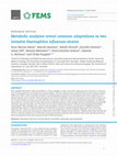 Research paper thumbnail of Metabolic analyses reveal common adaptations in two invasive Haemophilus influenzae strains