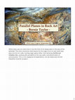 Research paper thumbnail of Parallel Planes in Rock Art presented at the IFRAO 2023 Inter-Congress Symposium