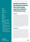 Immediate and Late Repair of Microhybrid Resin Composites: Effect of Silane Coupling Agent, Universal Adhesives and Photo Polymerization. Cover Page