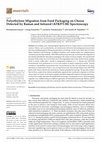 Research paper thumbnail of Polyethylene Migration from Food Packaging on Cheese Detected by Raman and Infrared (ATR/FT-IR) Spectroscopy