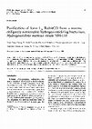 Research paper thumbnail of Purification of form L2 RubisCO from a marine obligately autotrophic hydrogen-oxidizing bacterium, Hydrogenovibrio marinus strain MH-110