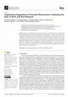 Research paper thumbnail of Angiotensin Regulation of Vascular Homeostasis: Exploring the Role of ROS and RAS Blockers