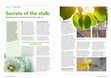 Research paper thumbnail of Secrets of the stalk: Regulating plant temperature from the inside out