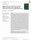 Research paper thumbnail of Reelin activates the small GTPase TC10 and VAMP7 to promote neurite outgrowth and regeneration of dorsal root ganglia (DRG) neurons