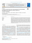 Research paper thumbnail of A putative lysozyme and serine carboxypeptidase from Heterorhabditis bacteriophora show differential virulence capacities in Drosophila melanogaster