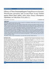 Research paper thumbnail of Efficacy of Three Entomopathogenic Fungi Beauveria bassiana, Metarhizium anisopliae and Lecanicillium lecanii Isolates against Black Bean Aphid, Aphis fabae (Scop.) (Hemiptera: Aphididae) on Faba bean (Vicia faba L.)