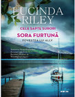 Sora furtună. Povestea lui Ally Cover Page