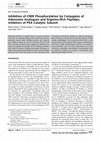 Research paper thumbnail of Inhibition of CREB Phosphorylation by Conjugates of Adenosine Analogues and Arginine-Rich Peptides, Inhibitors of PKA Catalytic Subunit