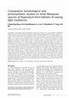 Research paper thumbnail of Comparative morphological and photosynthetic studies on three Malaysian species of Pogonatum from habitats of varying light irradiances