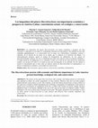 Research paper thumbnail of Los langostinos del genero Macrobrachium con importancia economica y pesquera en America Latina: conocimiento actual, rol ecologico y conservacion