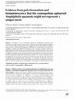 Research paper thumbnail of Evidence from polychromatism and bioluminescence that the cosmopolitan ophiuroid Amphipholis squamata might not represent a unique taxon