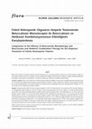 Research paper thumbnail of Comparison of the Efficacy of Beta-Lactam Monotherapy and Beta-Lactam and Amikacin Combination Therapy for the Empirical Treatment of Febrile Neutropenic Patients