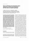 Research paper thumbnail of Serum withdrawal and etoposide induce apoptosis in human lung carcinoma cell line A549 via distinct pathways