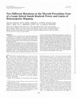 Research paper thumbnail of Two Different Mutations in the Thyroid Peroxidase Gene of a Large Inbred Amish Kindred: Power and Limits of Homozygosity Mapping1