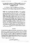 Research paper thumbnail of Non-saturable transport of [3H]oestradiol across the blood--brain barrier in female rats is reduced by neonatal serum