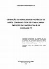 Obtenção de hidrolisados protéicos de arroz com baixo teor de fenilalanina: emprego da pancreatina e da corolase pp Cover Page