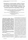 Research paper thumbnail of Distribution of Polymorphic Markers of Genes Encoding the Renin-angiotensin System (ACE, AGT, AGTR1), ITGB3, PPARG, Pparg in Patients With Essential Hypertension Depending on the Age